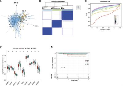 m5C Regulator-Mediated Methylation Modification Patterns and Tumor Microenvironment Infiltration Characterization in Papillary Thyroid Carcinoma